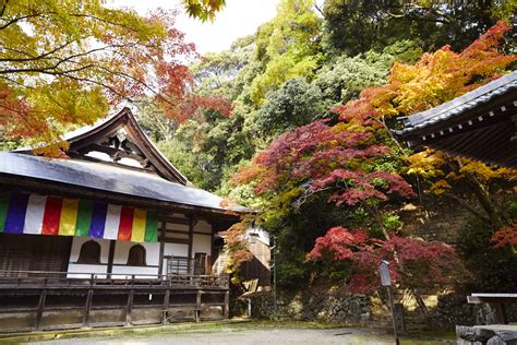 神峰山寺|大阪 高槻 神峯山寺の山岳信仰 